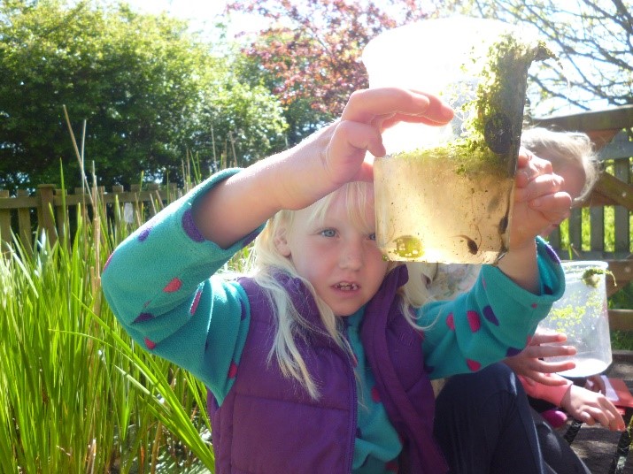 Pond dipping