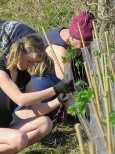 IMG_3587_Tree_Planting_preview