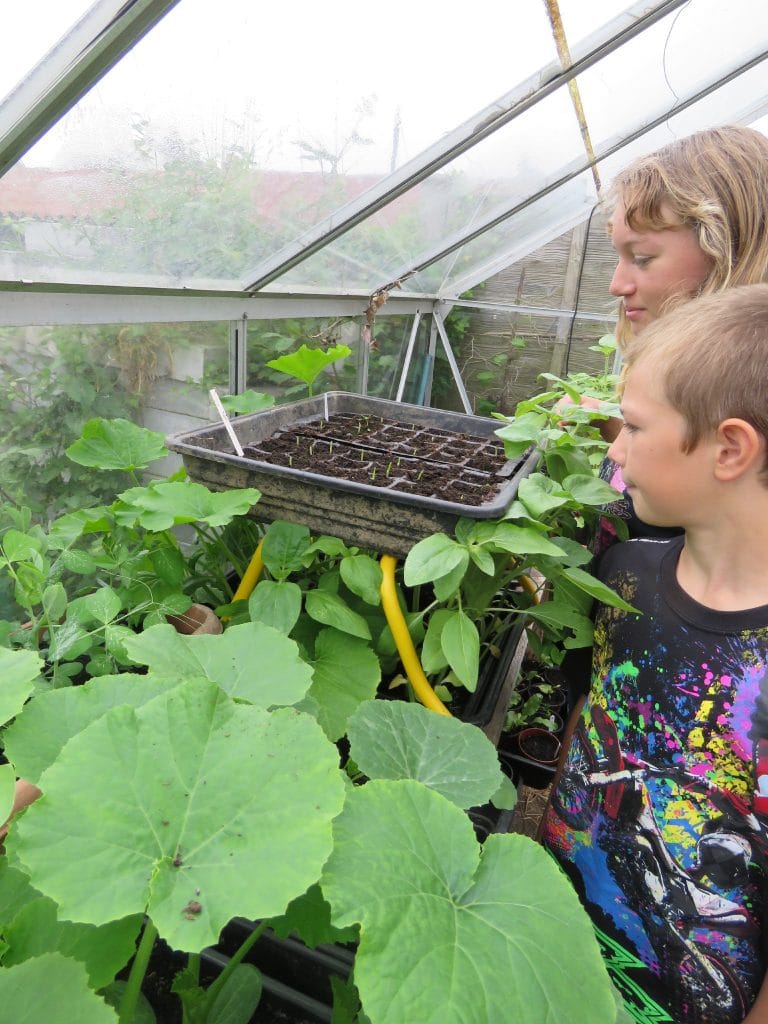 Shiloh Home School Cultivation Street