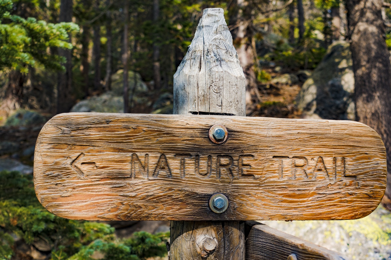 Nature Trail Sign