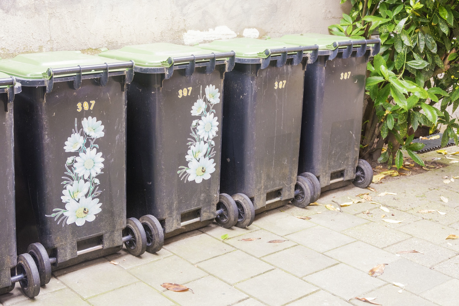 Row of garbage containers, some decorated to make them beautiful, in the city against an old cement wall. A green plant next to the containers as a natural element.