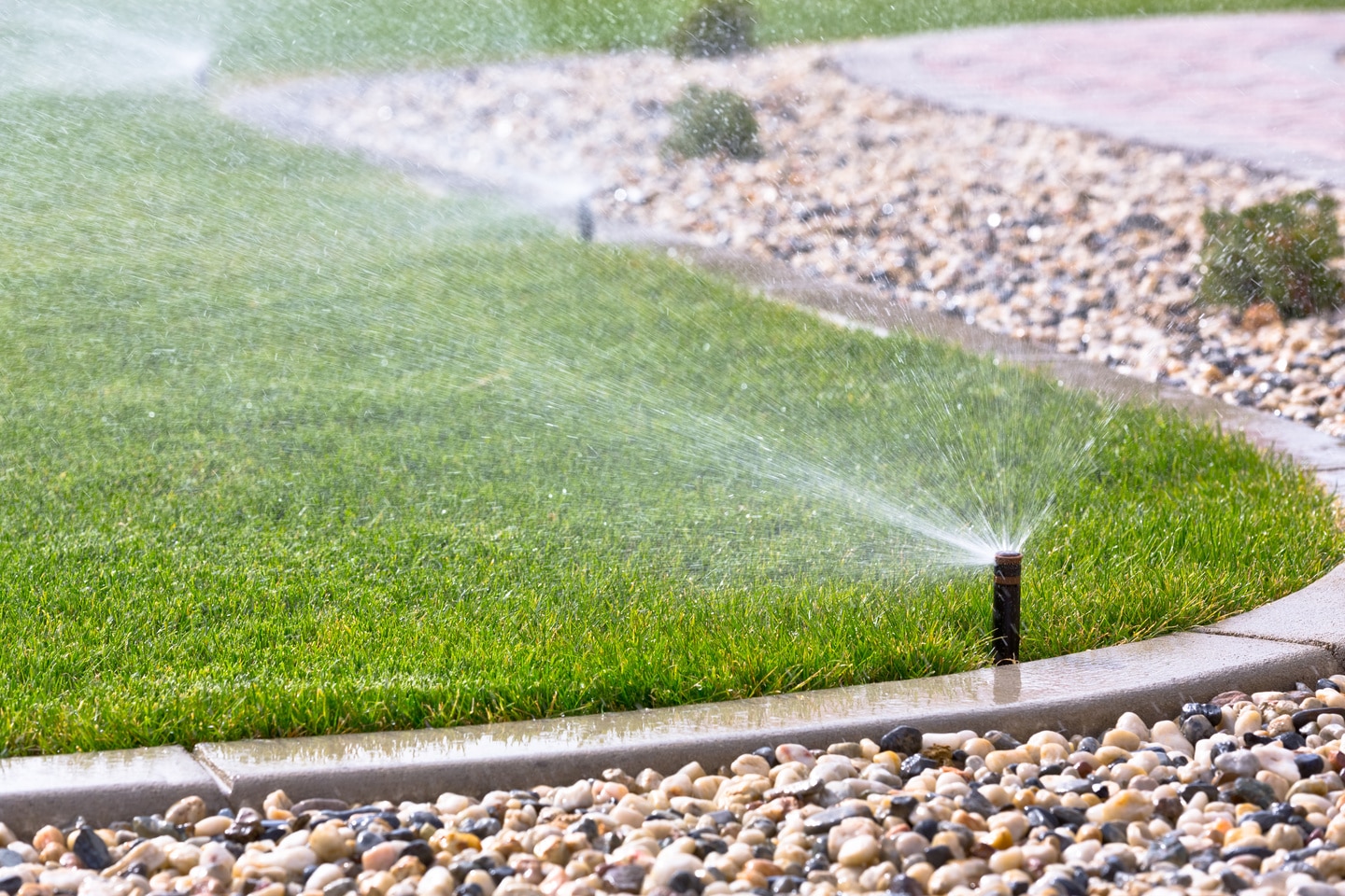 Sprinklers watering grass Sprinklers watering grass
