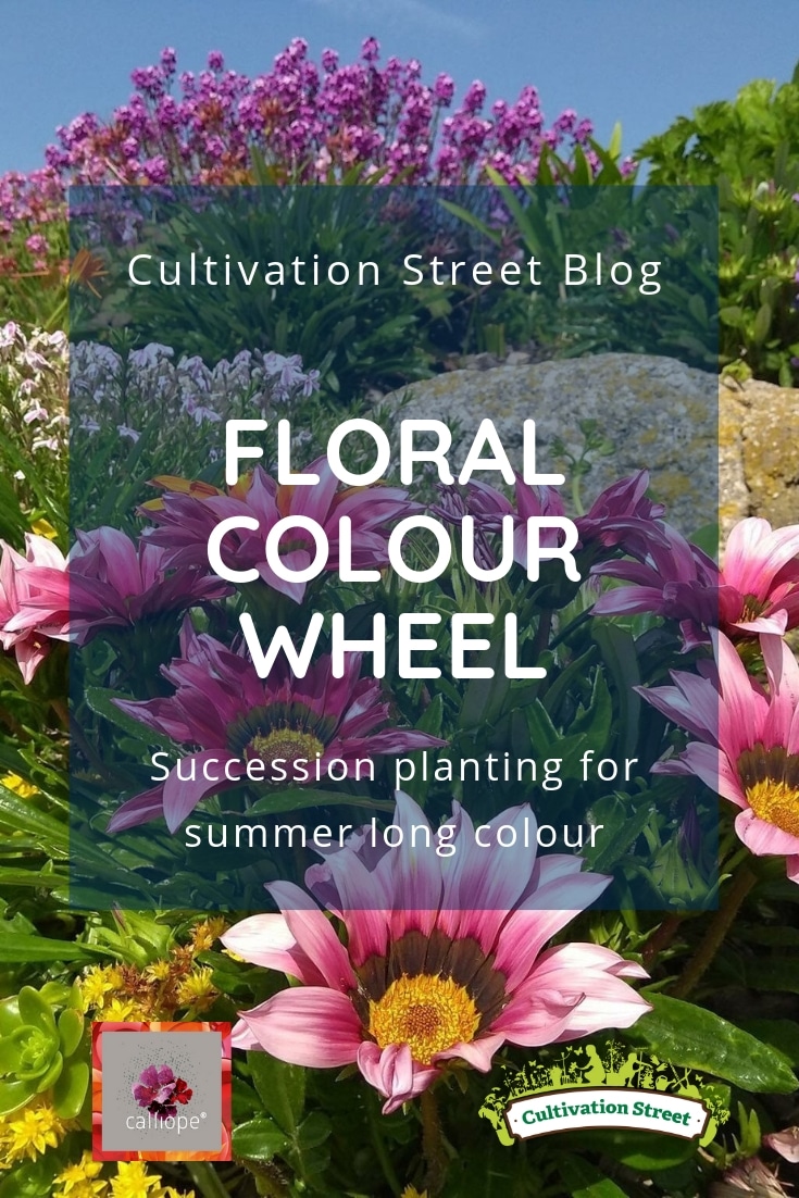 Cultivation Street Blog on succession planting, replenishing colours in the colour wheel to create summer long colour. Part of our CalliopeMyLife series of blogs