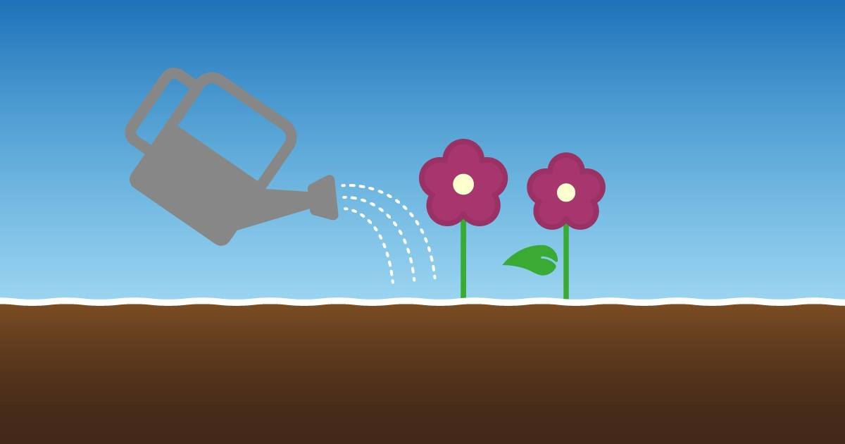 watering 2 watering 2