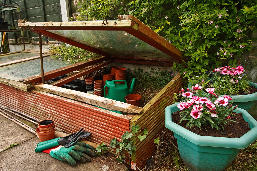 Gardeners Cold frame in the garden, used to protect seedlings from frost during winter