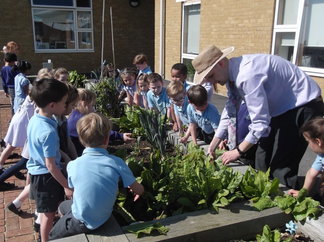 Damers Garden planting_ (002) resize