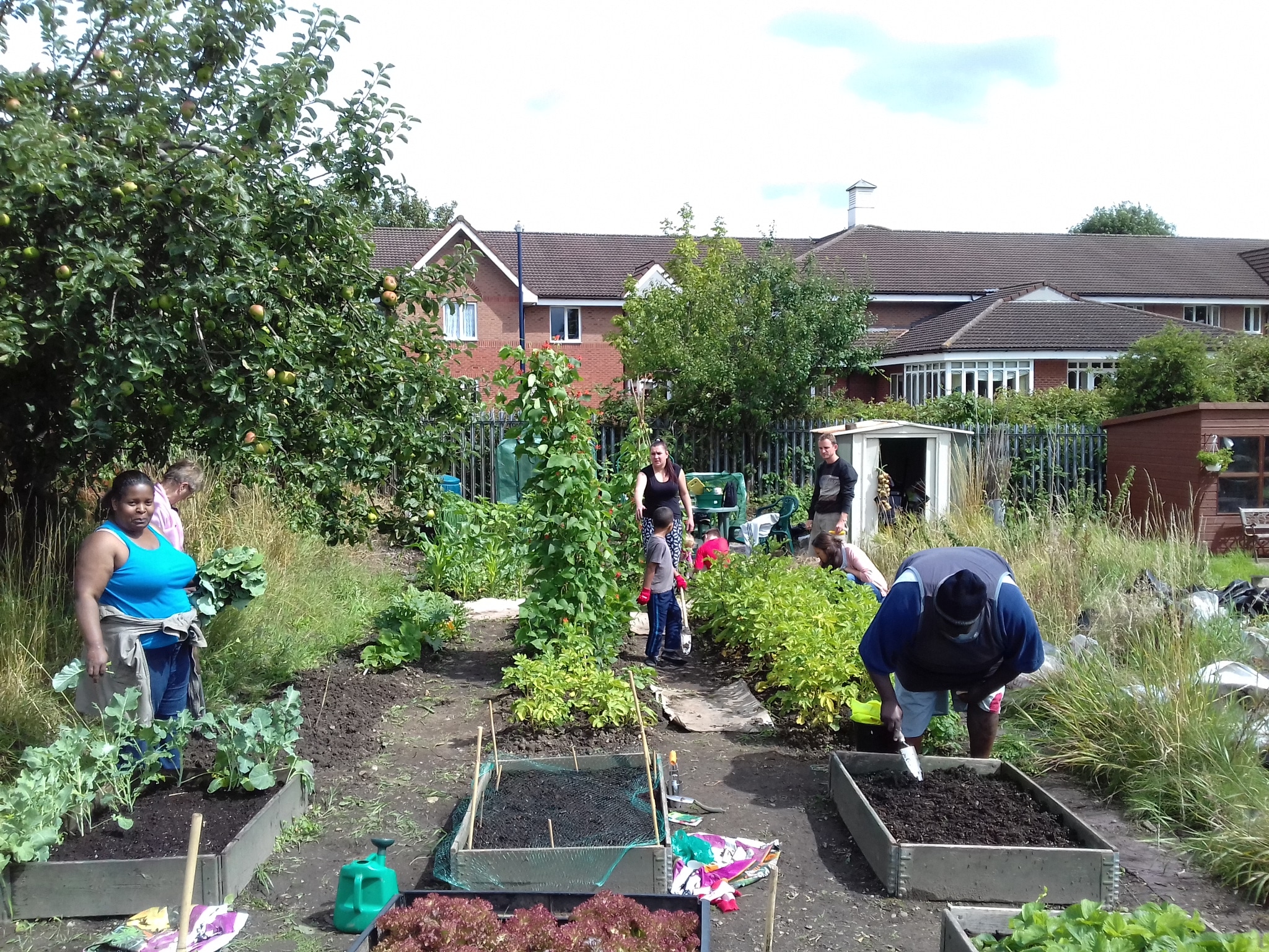 Allotment August 17 Peak Growing Season