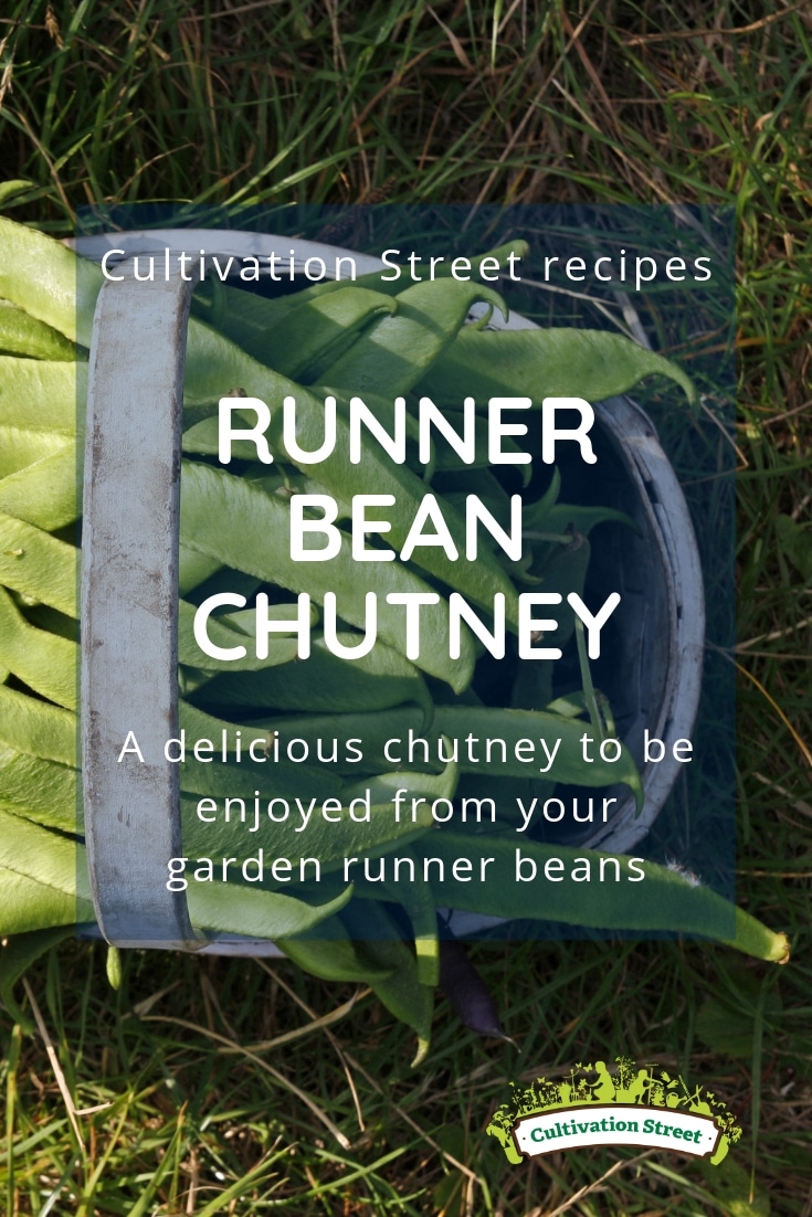 Cultivation Street recipes, runner bean chutney, a delicious chutney to be enjoyed from your school or community garden or allotment runner beans