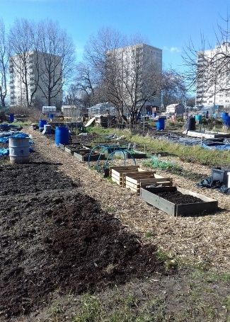 Welsh House Farm Green Grafters allotment