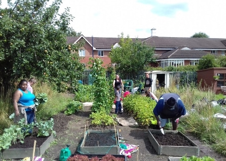 volunteers working on Welsh House Farm Green Grafters allotment