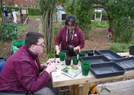 Root 'n' Fruit volunteers sewing seeds