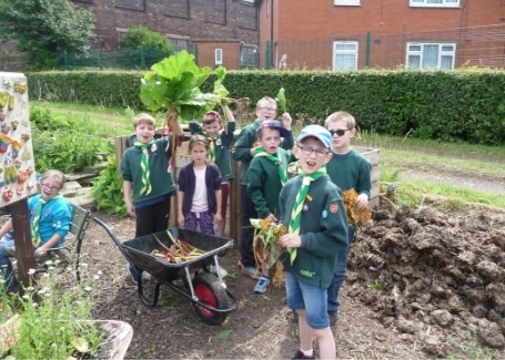 Cubs working at Root 'n' Fruit enjoying the Rhubarb harvest