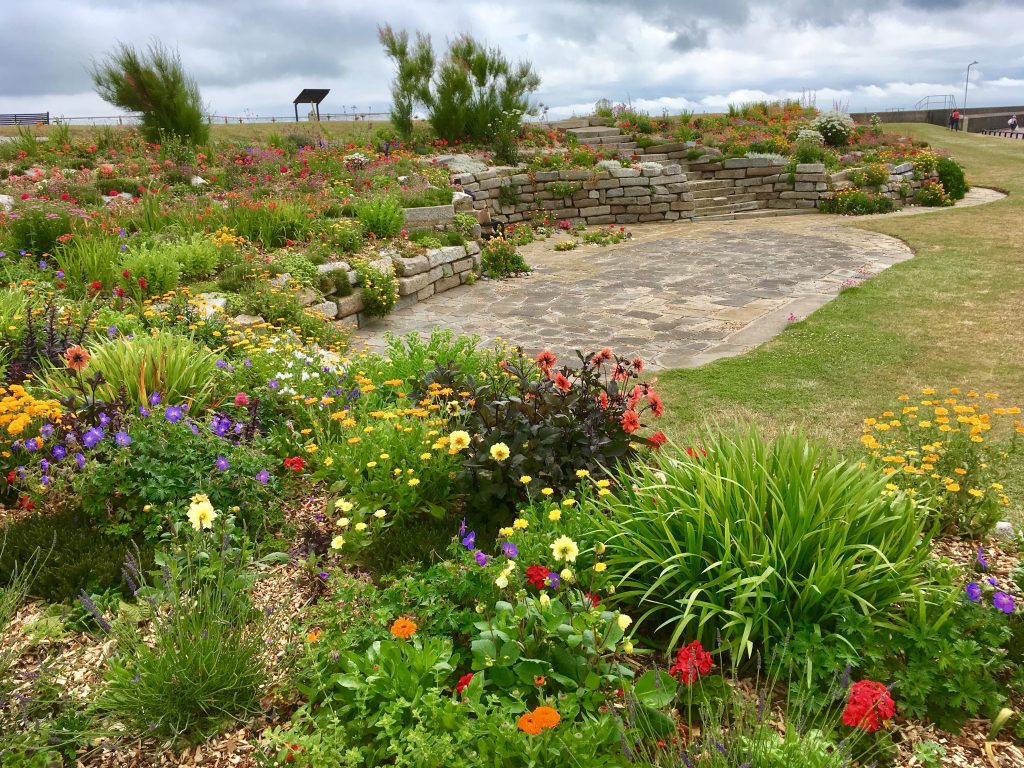 Sandown Castle Community Their Garden Story Cultivation Street sandown-castle-community-their-garden-story-cultivation-street