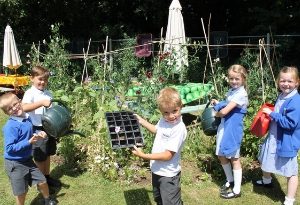 Midfield Primary School children in their Cultivation Street garden
