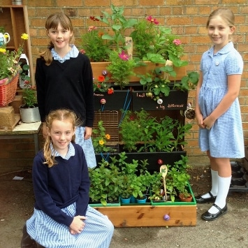 St Albans Primary School girls in their Cultivation Street Garden