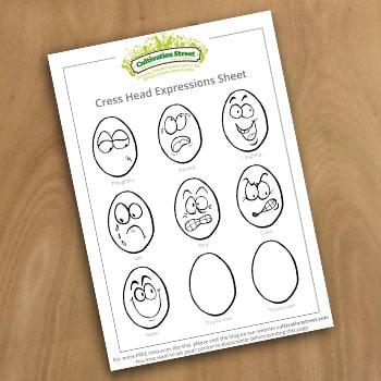 1 Expression Sheet Draw face on egg cress heads Cultivation Street Resource How To Guide Activity