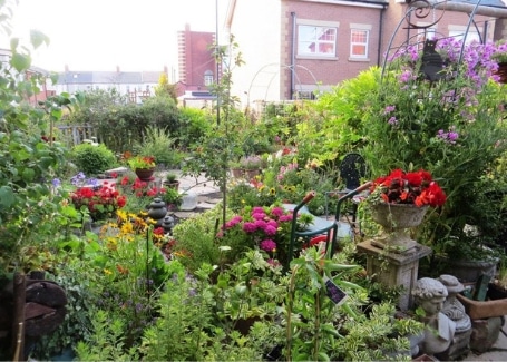 Rockcliffe Avenue Community Front Gardens, entered into the Cultivation Street competition