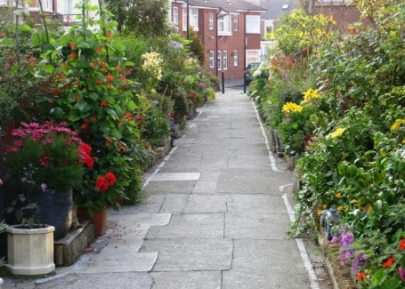 Rockcliffe Avenue Community Front Gardens, entered into the Cultivation Street competition