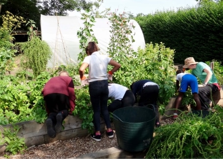 Volunteers at Tinsley Allotment, Shortlisted in the 2018 Cultivation Street Competition in Communities and Calliope Colour My Life