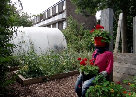 Tinsley Allotment, Shortlisted in the 2018 Cultivation Street Competition in Communities and Calliope Colour My Life