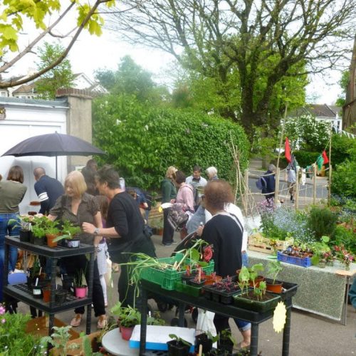 How to set up a community garden - Cultivation Street