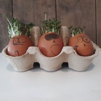 Growing Cress Heads - Messy Little Monster