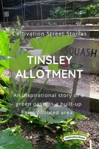 Cultivation Street Story Tinsley Allotment An inspirational story of a green oasis in a built-up and polluted area