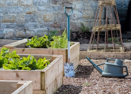 Cultivation Street Tips for March, maintenance including raised beds