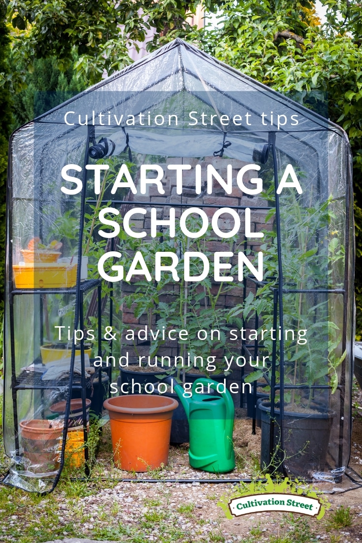 Cultivation Street tips and advice on starting and running a school garden