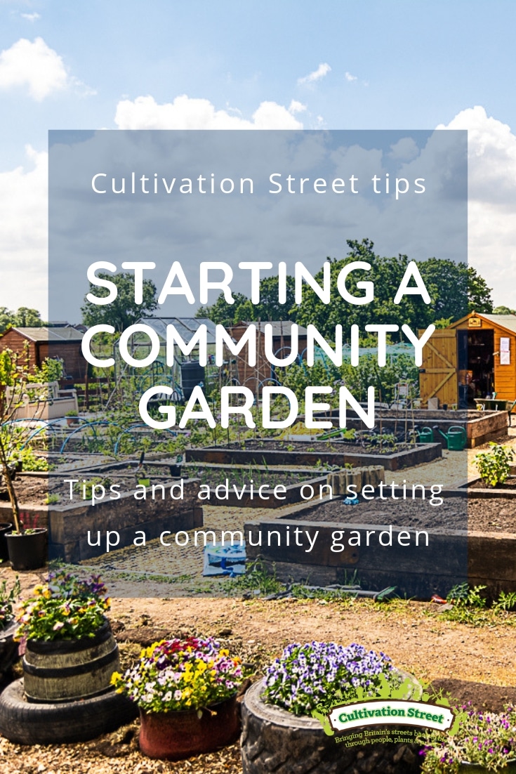 Cultivation Street tips pinterest pin, Starting a Community Garden, tips and advice on setting up a community garden