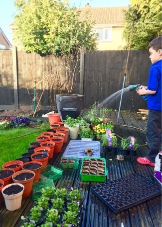 Essington in Bloom, child watering their Cultivation Street garden