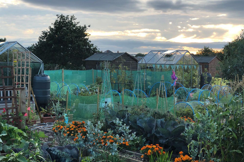 S2S garden at dusk2