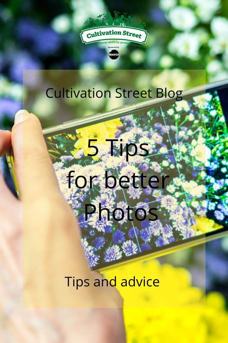 photo tips