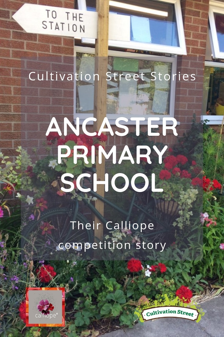 Ancaster Primary's Calliope Colour My Life bike display, their entry in the 2018 Cultivation Street competition