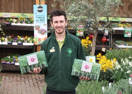 Cultivation Street Stories, Old Railway Line Garden Centre Matthew Lewis with his Calliope geraniums