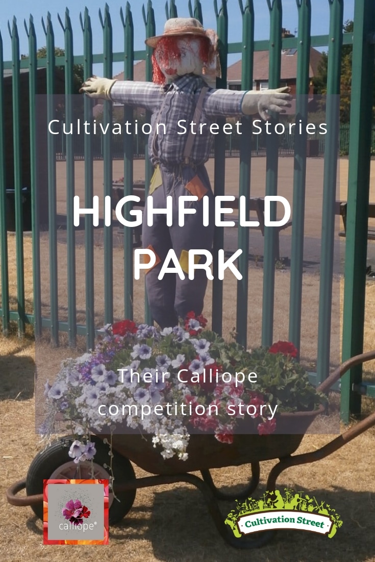 Cultivation Street Story of Highfield Park's Calliope Colour My Life entry in the 2018 Cultivation Street competition