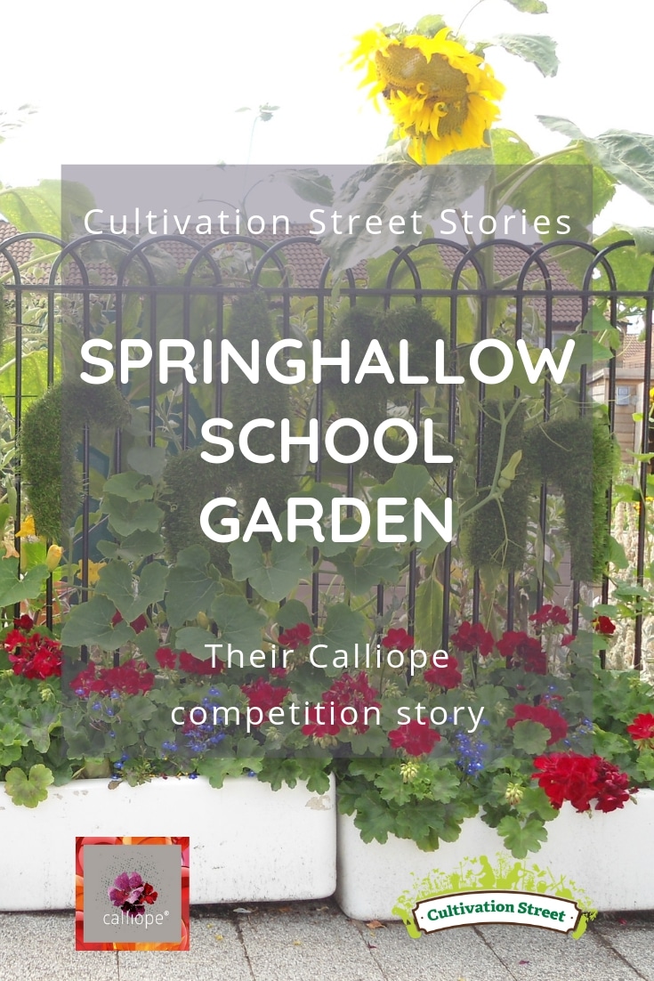 Cultivation Street Story of Springhallow School Garden's Calliope Colour My Life entry in the 2018 Cultivation Street competition