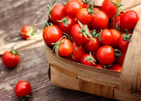 Cultivation Street homegrown school or community garden or allotment tomatoes