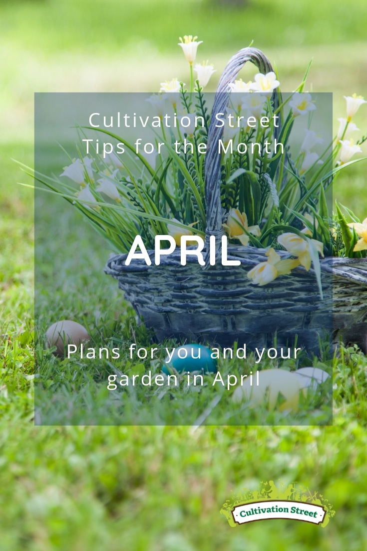 Cultivation Street tips for the month of April, plans for you and your garden in April including Easter activities and planting