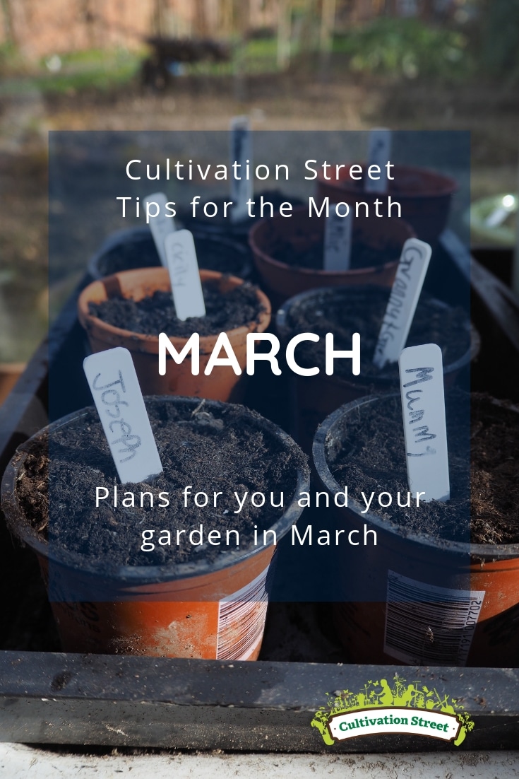 Cultivation Street tips for the month of March, plans for you and your garden in March including sowing seeds, planting potatoes, planning & spring cleaning your bug hotel