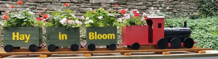 Hay in Bloom Cultivation Street Calliope competition entry 2018