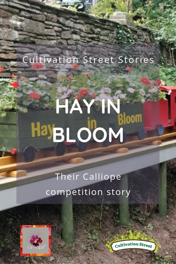 Hay in Bloom their Cultivation Street Calliope competition story