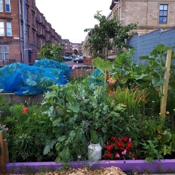 Includeme2 Allotment Angels Cultivation Street beautiful garden