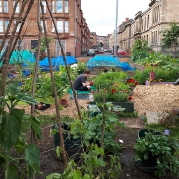 Includeme2 Allotment Angels Cultivation Street garden