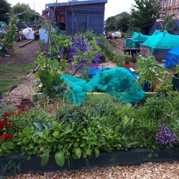 Includeme2 Allotment Angels Cultivation Street garden's raised beds