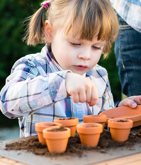 Abacus Cultivation Street planting plant child3