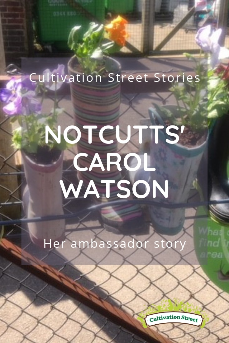 Cultivation Street Stories, Notcutts' Carol Watson, her garden centre ambassador story