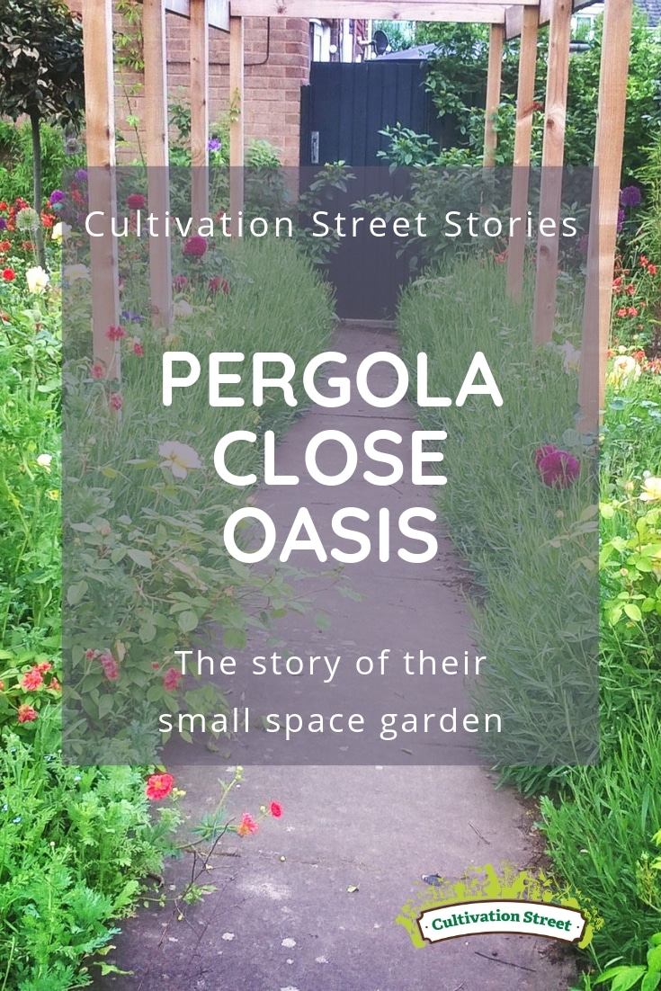 Cultivation Street Stories, Pergola Close Oasis, the story of their small space garden