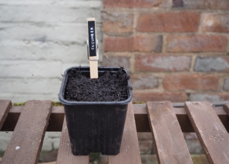 Cultivation Street blog, make your own plant markers, quick and easy ideas to label up your garden including using clothes pegs