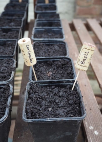 Cultivation Street blog, make your own plant markers, quick and easy ideas to label up your garden including using corks